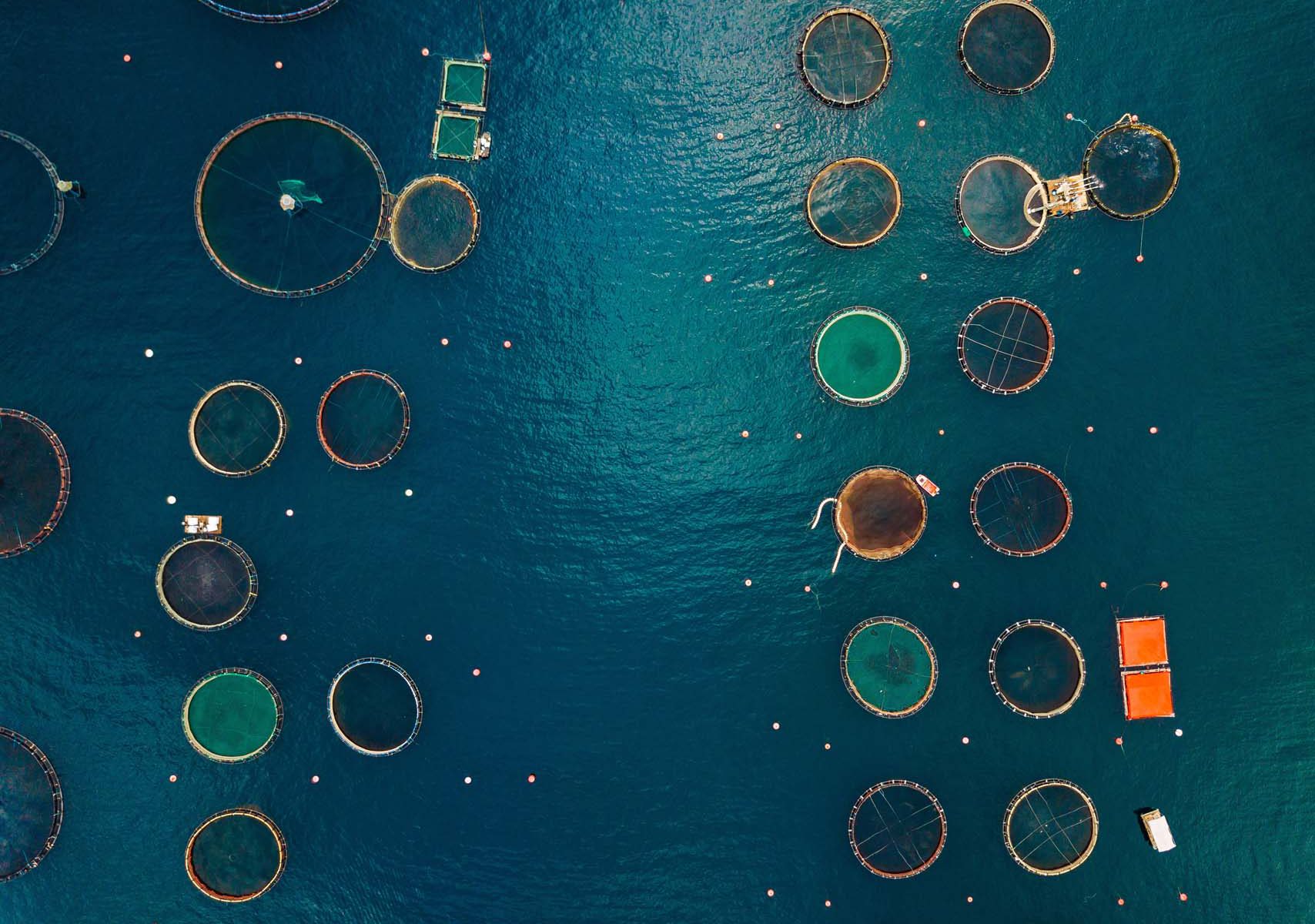 Sea and coast monitoring