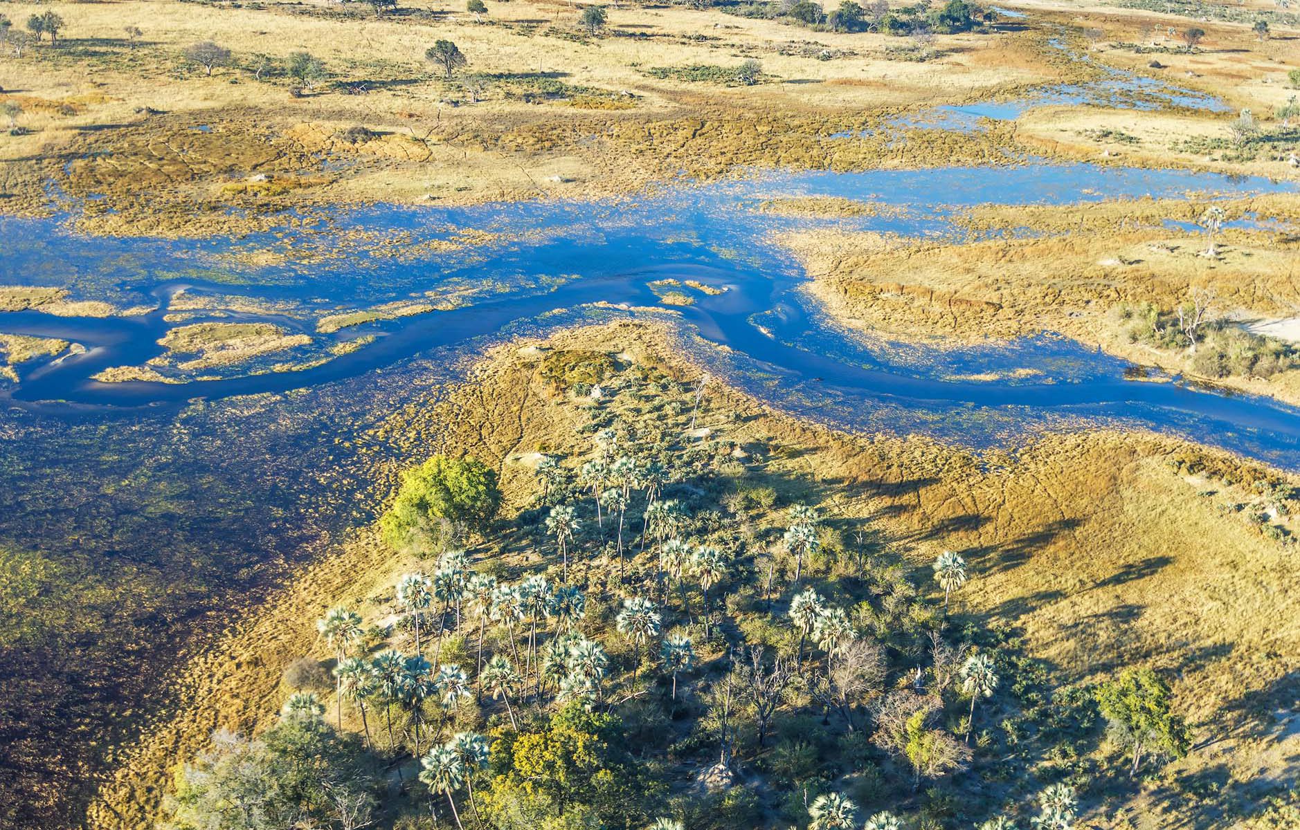 Wetland monitoring