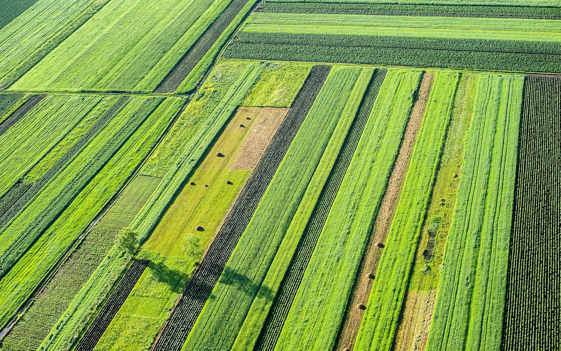Satellite data analysis remote sensing earth observation Monitoring agricultural fields