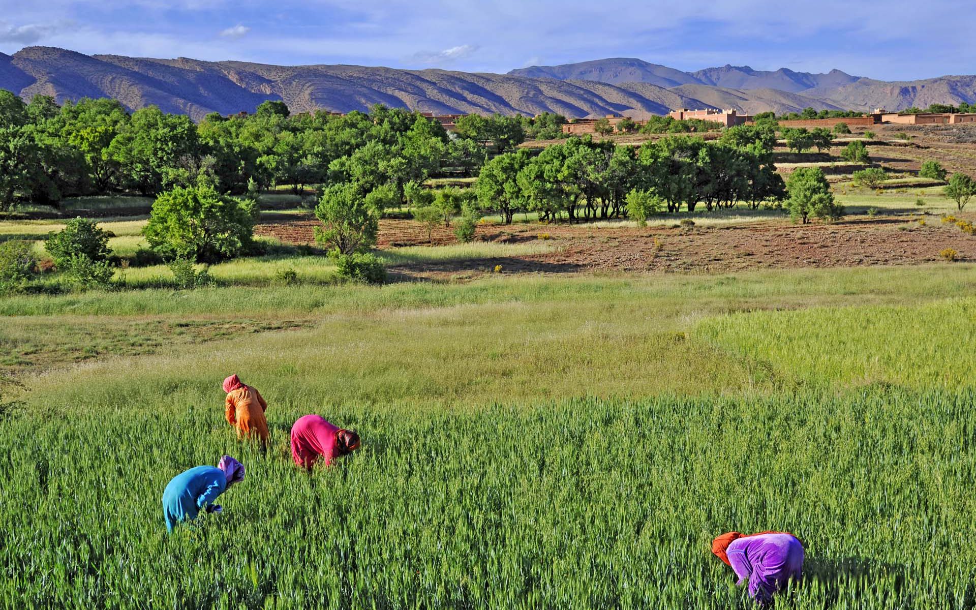 Rural development